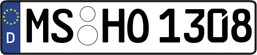 MS-HO1308