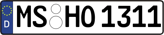 MS-HO1311