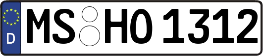 MS-HO1312