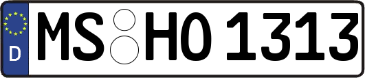 MS-HO1313