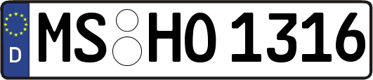 MS-HO1316