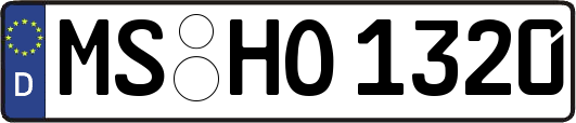 MS-HO1320