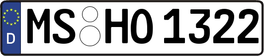 MS-HO1322
