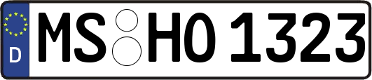 MS-HO1323