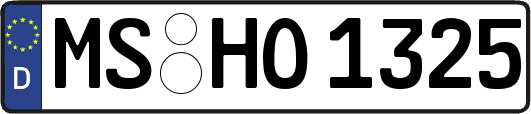MS-HO1325