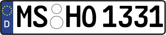 MS-HO1331