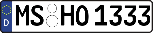 MS-HO1333