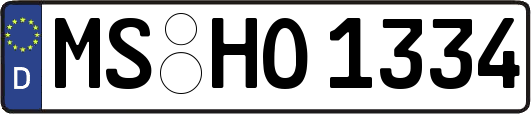 MS-HO1334