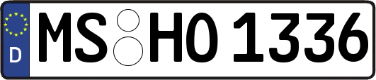 MS-HO1336