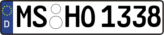 MS-HO1338