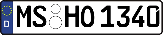 MS-HO1340