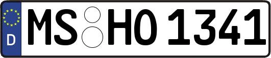 MS-HO1341