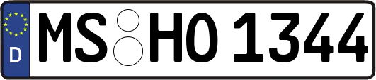 MS-HO1344