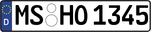 MS-HO1345