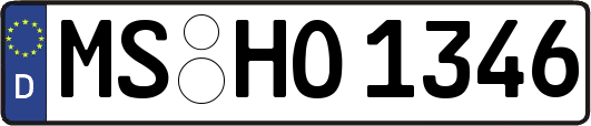 MS-HO1346