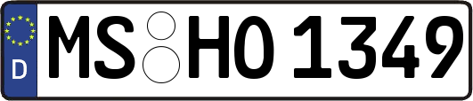 MS-HO1349