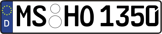 MS-HO1350