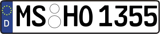 MS-HO1355