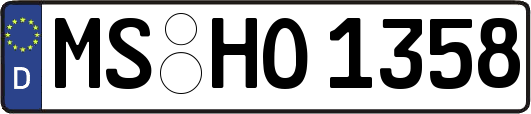 MS-HO1358