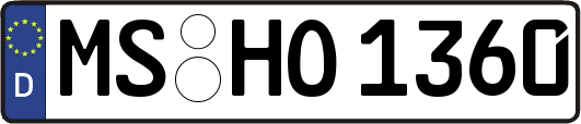MS-HO1360