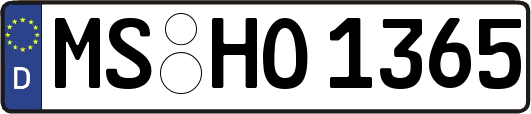 MS-HO1365