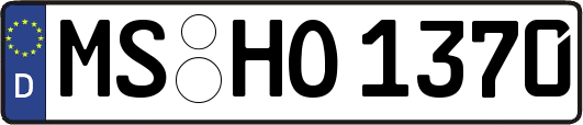 MS-HO1370