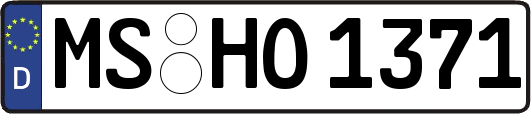 MS-HO1371