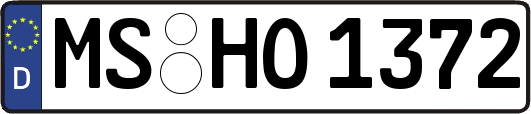 MS-HO1372