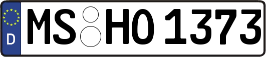MS-HO1373
