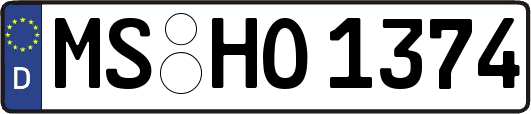 MS-HO1374