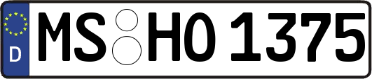 MS-HO1375