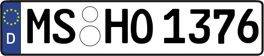 MS-HO1376