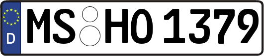 MS-HO1379