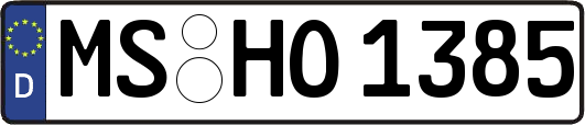 MS-HO1385