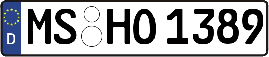 MS-HO1389