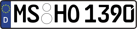 MS-HO1390
