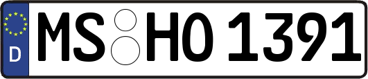 MS-HO1391