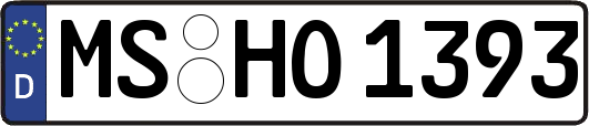 MS-HO1393