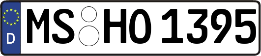 MS-HO1395