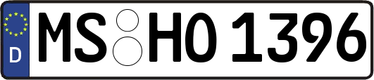 MS-HO1396
