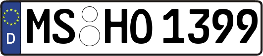 MS-HO1399