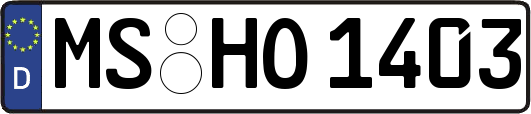 MS-HO1403