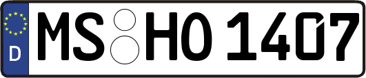 MS-HO1407