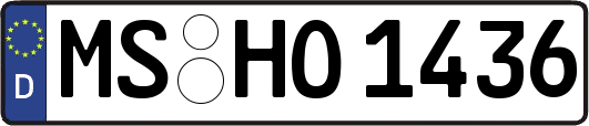 MS-HO1436