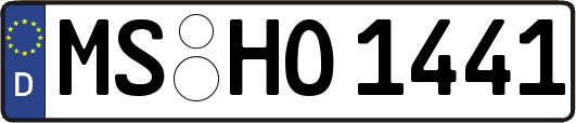 MS-HO1441