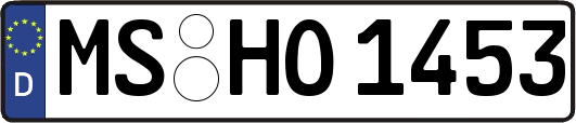 MS-HO1453