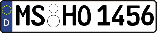 MS-HO1456