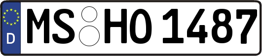 MS-HO1487