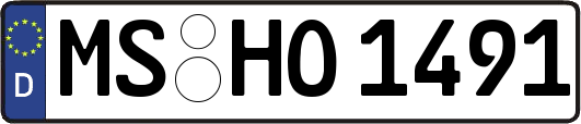MS-HO1491
