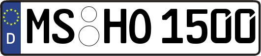 MS-HO1500